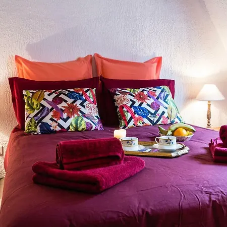 Διαμέρισμα Duplex Cite Medievale *