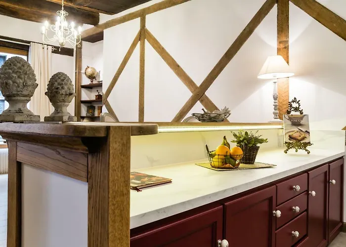 Duplex Cité Médiévale Appartamento *